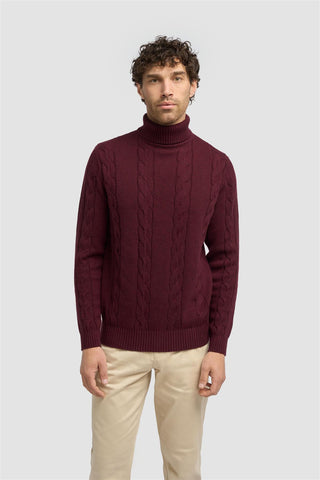 Archie Roll Neck