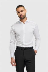Piccinni Shirt