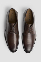 Taylor Chocolate Brown Shoes