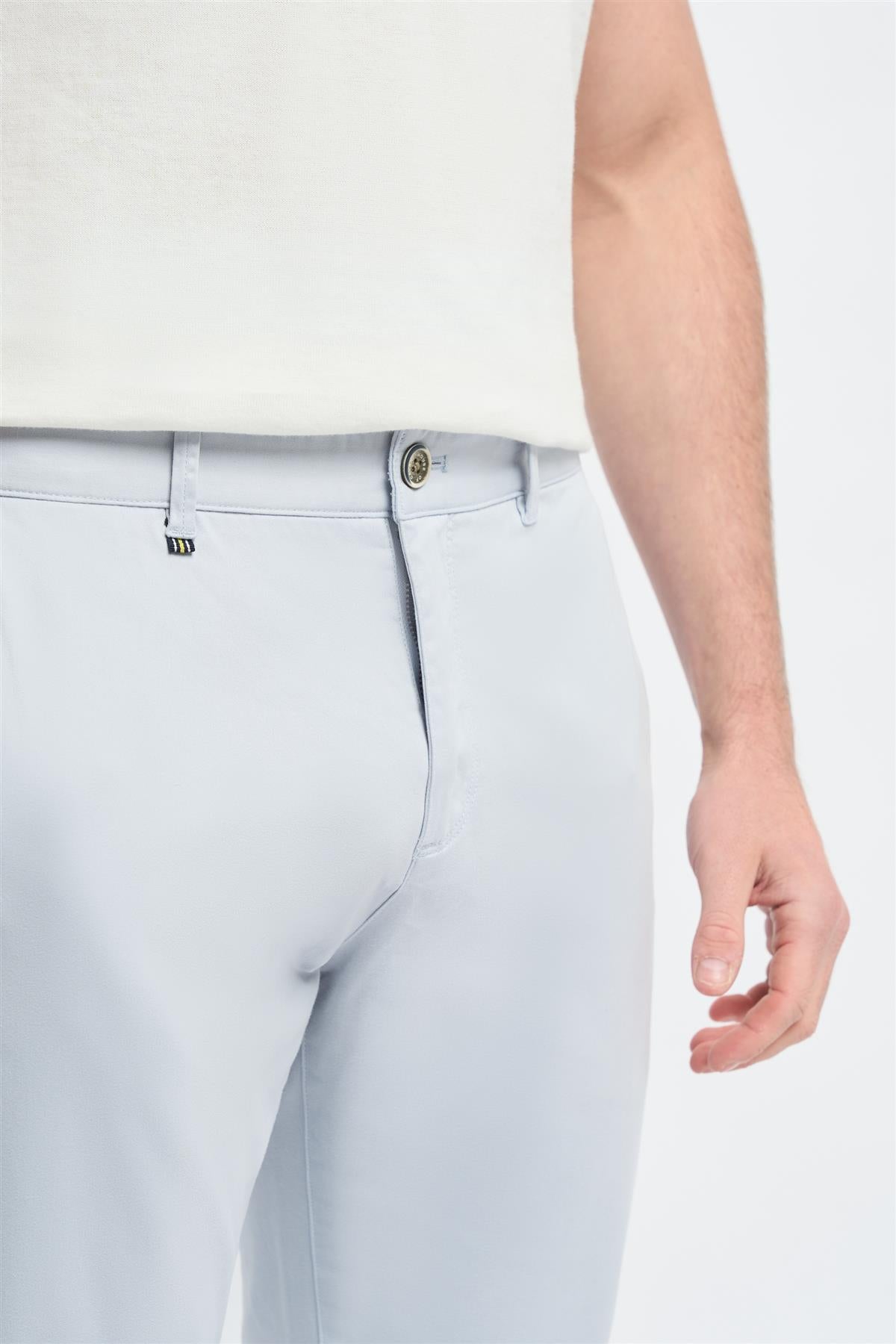 Hudson Arctic Chino