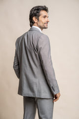 Reegan grey regular three piece suit back