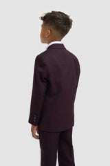 Boys Caridi Wine Three Piece Suit
