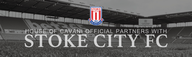 Stoke City Banner