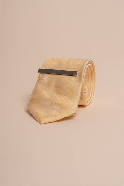 CV818 Paisley Tie set