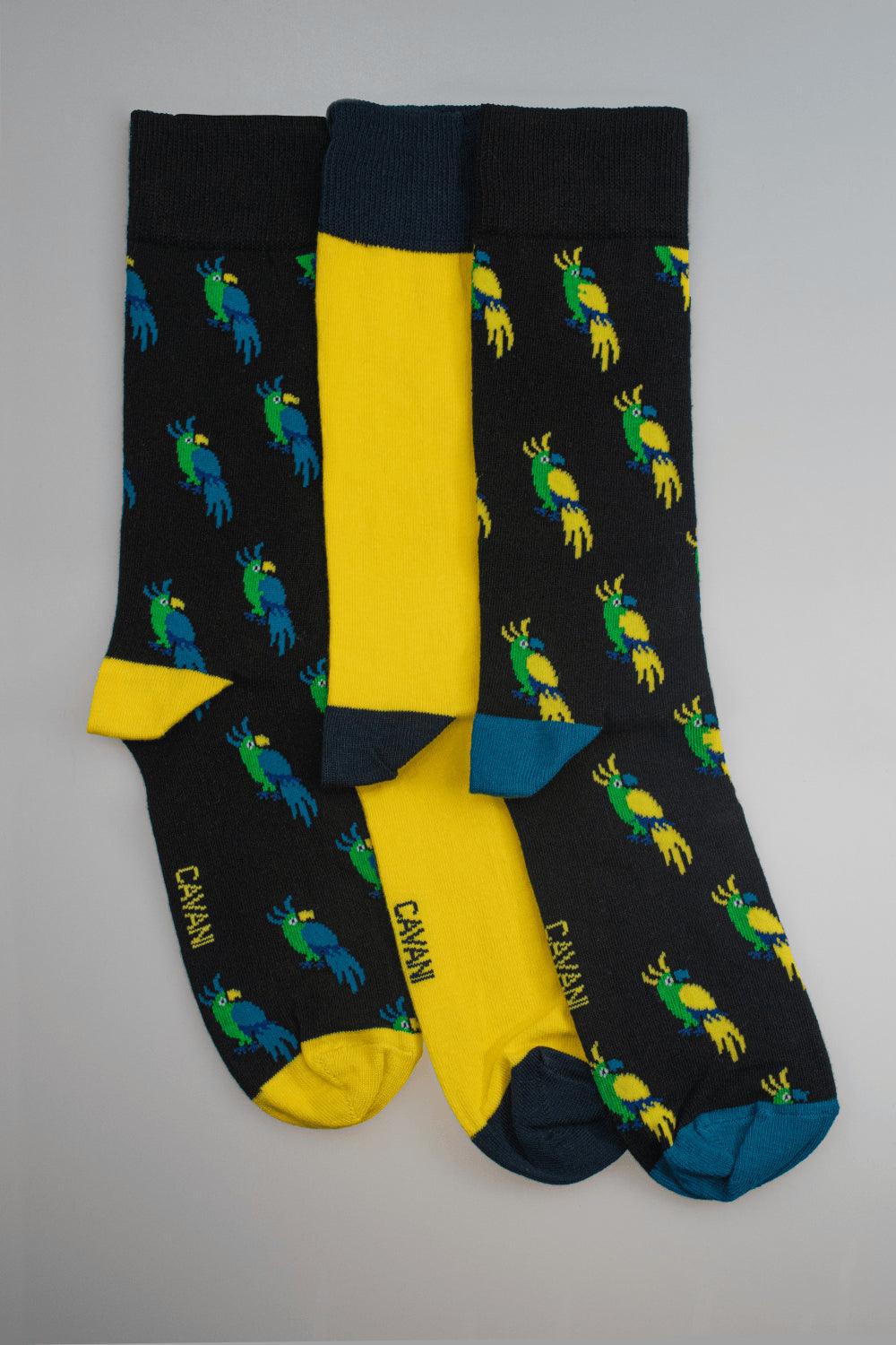 Ronan socks set